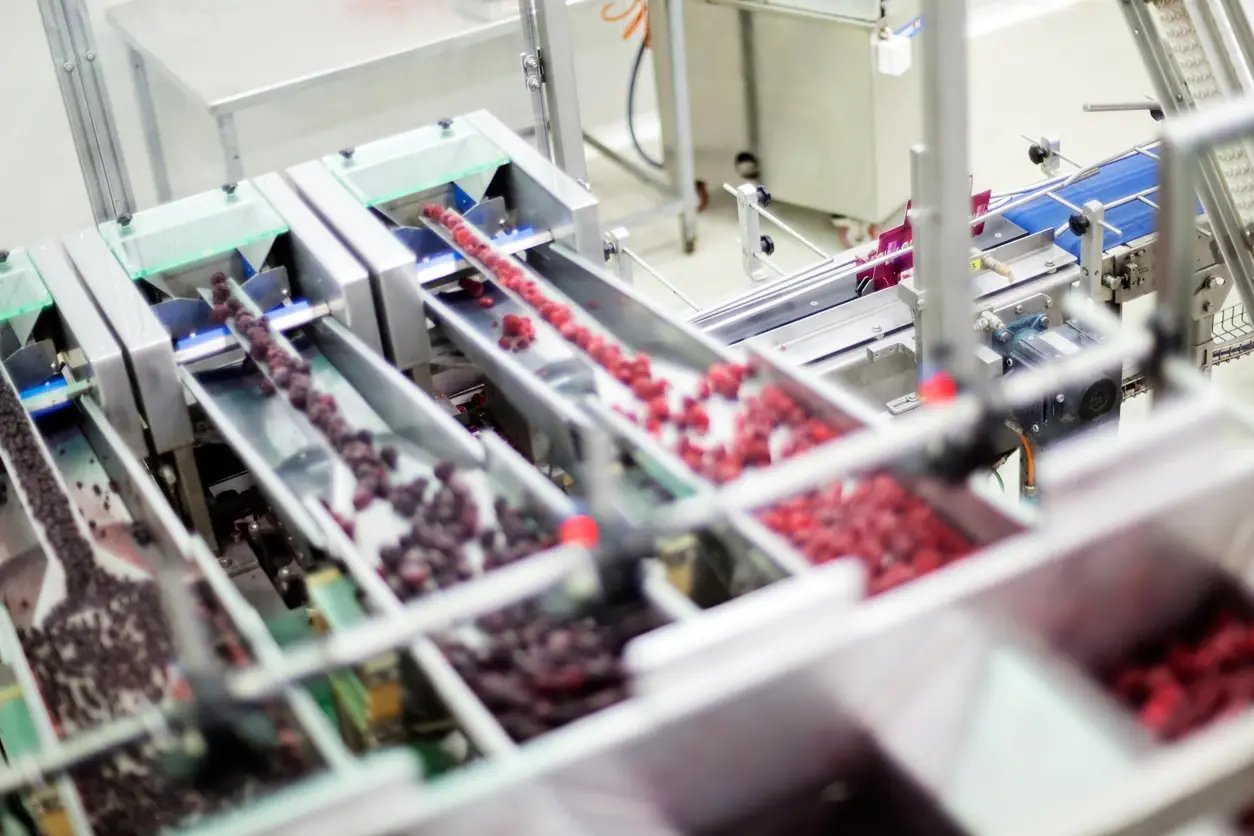 iStock-533192159-frozen red raspberries in sorting and processing machines