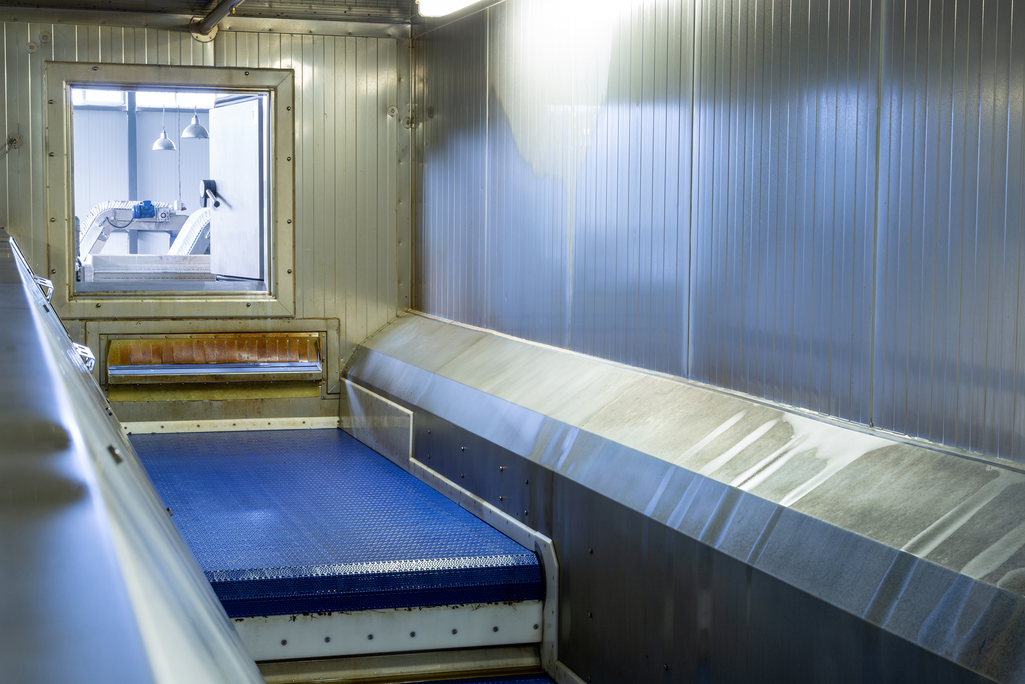 1310785616-conveyor belt in the instant freezing