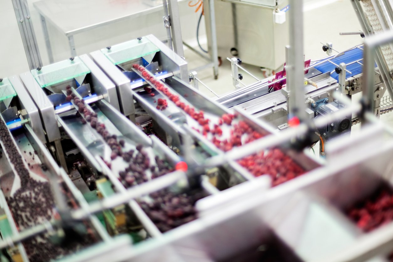 533192159-frozen red raspberries in sorting and processing machines